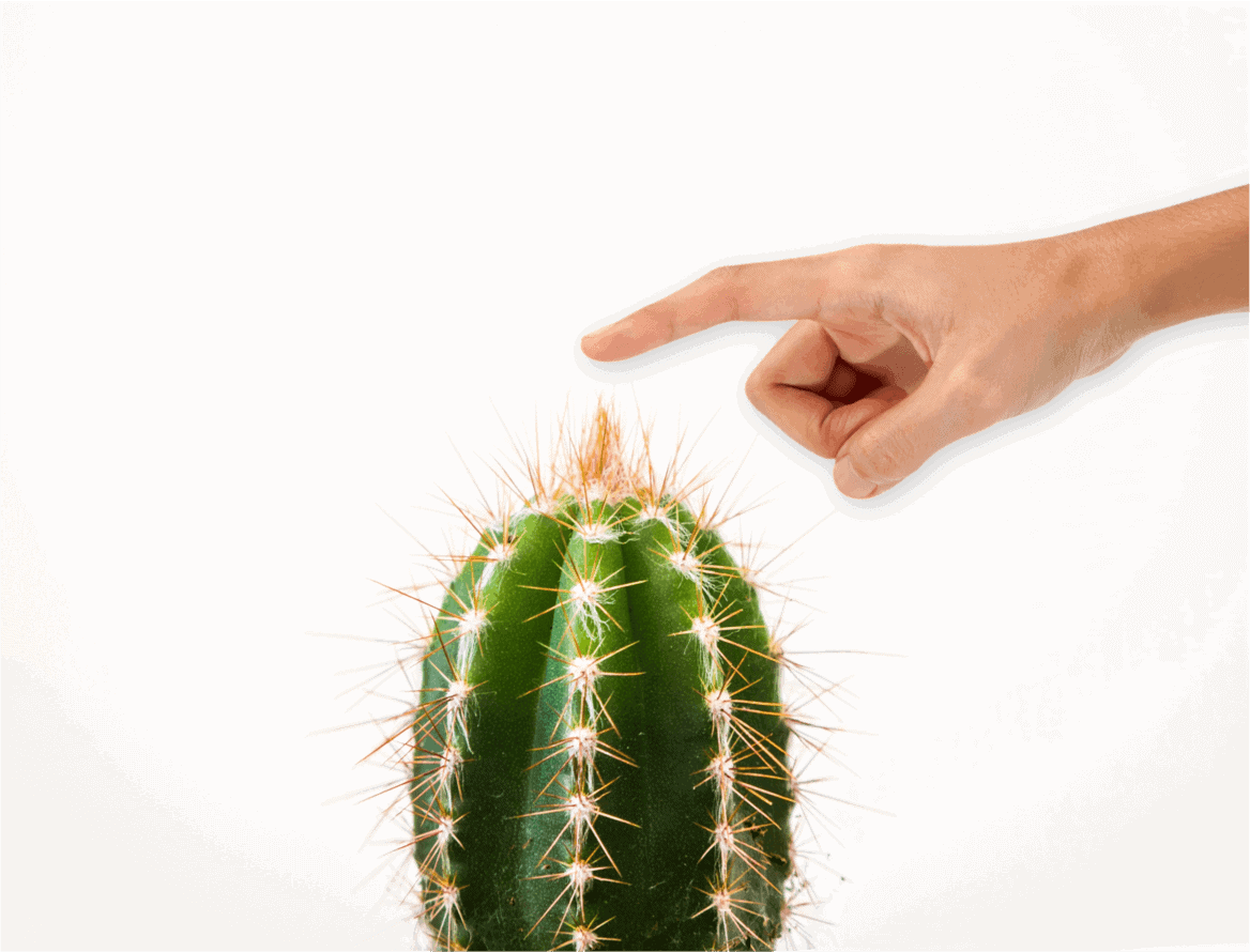 AS 10 PROFISSÕES MAIS PERIGOSAS DO MUNDO