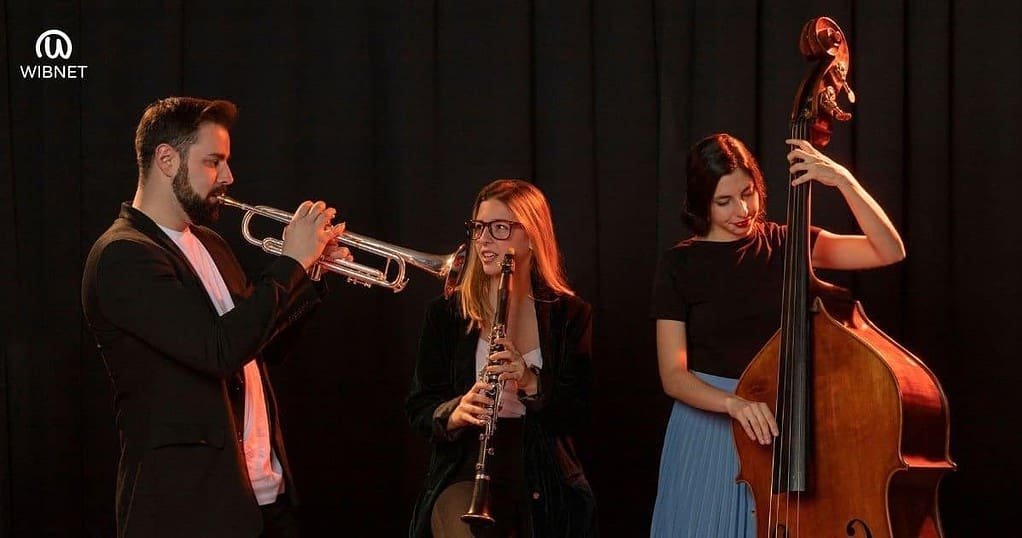 instrumentos musicais